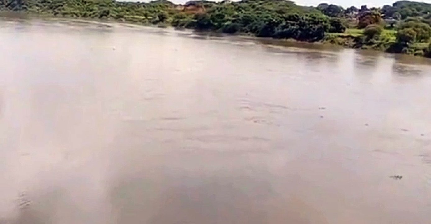 यमुना नदी का लगातार बढ़ रहा जलस्तर
