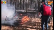 Incêndios florestais na região de Rostov. [3 de setembro de 2020] #35