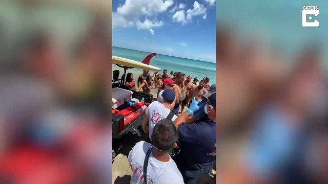 Un petit requin ne veut pas lacher le bras de ce touriste... Douloureux