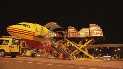 شركات الشحن في زمن كورونا