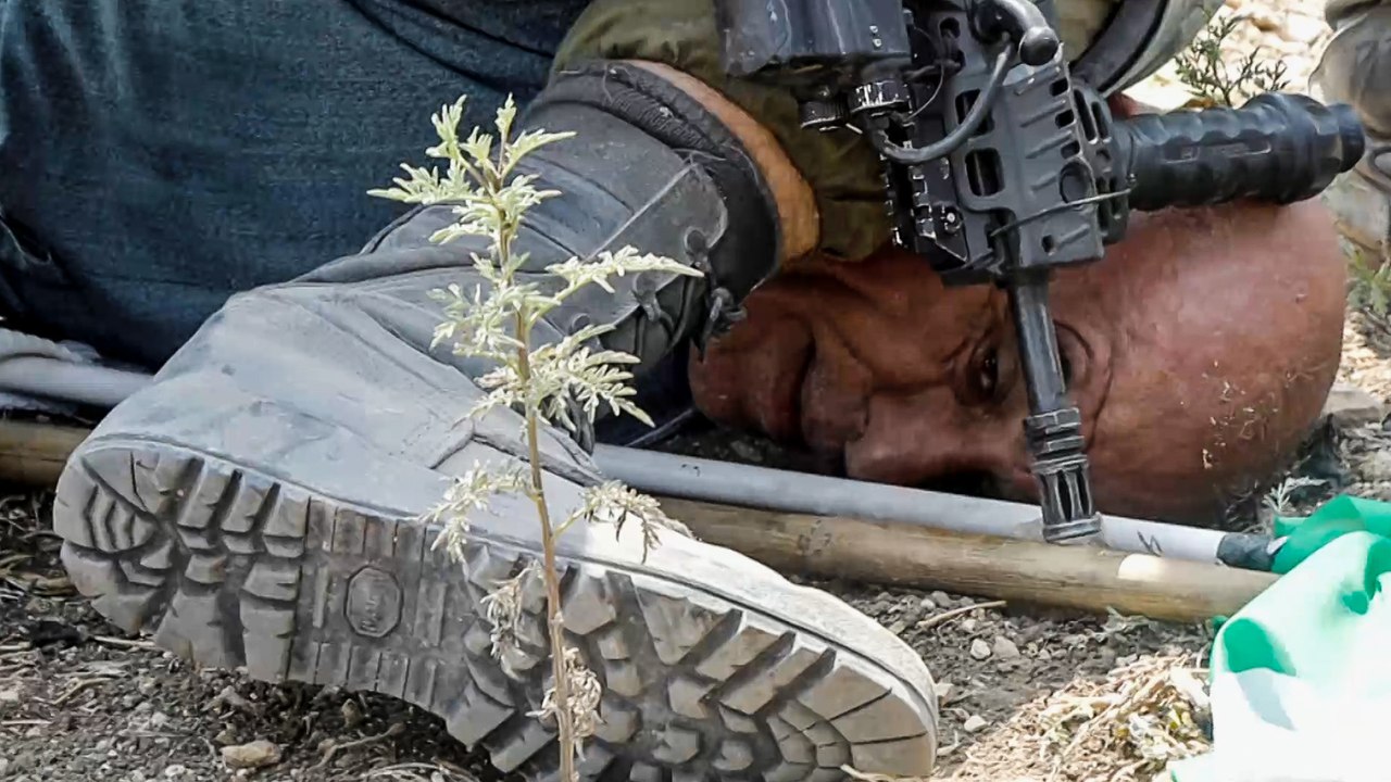 فيديو صادم أثار غضب كثيرين إثر اعتداء جندي إسرائيلي على رجل فلسطيني ستيني