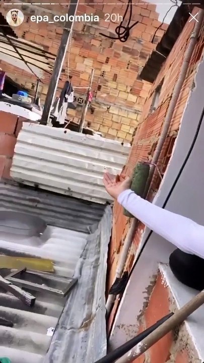 Epa Colombia explicó las 'estrictas' reglas que le impusieron sus vecinos para vivir en su nuevo apartamento