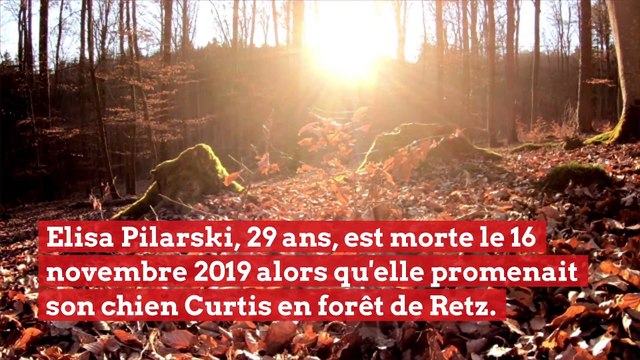 Affaire Elisa Pilarski : selon un expert le pitbull Curtis pourrait être responsable
