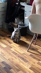 会自己站起来找人的“淘淘”，见我不理她就躺下睡觉了……