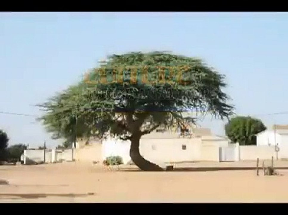 Cheikh anta diop : Un aboutissement de l’école islamique Sénégalaise traditionnelle particulièrement Mouride avant d'être un produit de l’école française