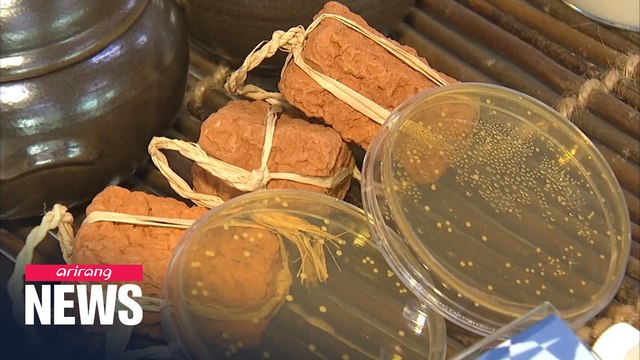 S. Korean researchers develop rice probiotics