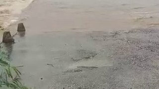 Horrible Rain river in Rajasthan