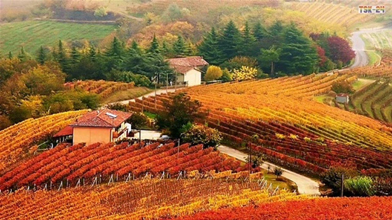 Beautiful and Colorful Autumn Scenery !