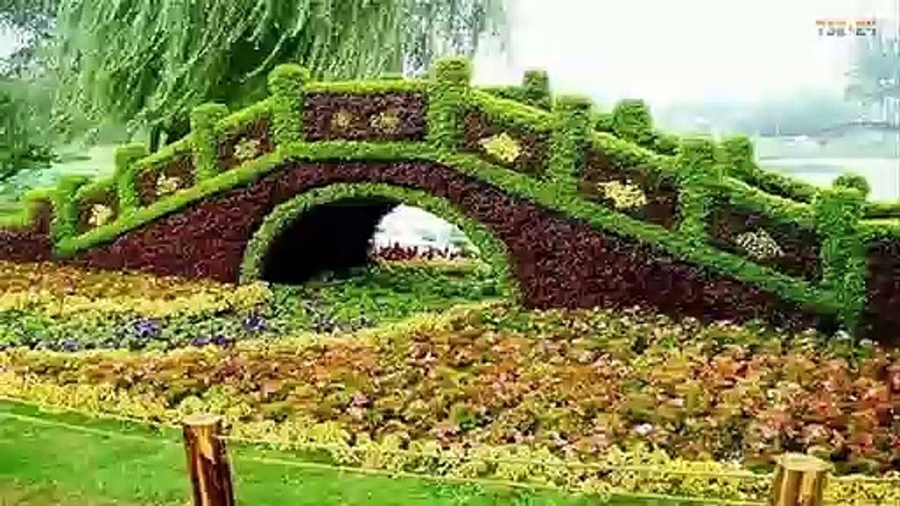 WOW! Amazing Gardens - That Look Like Aliens