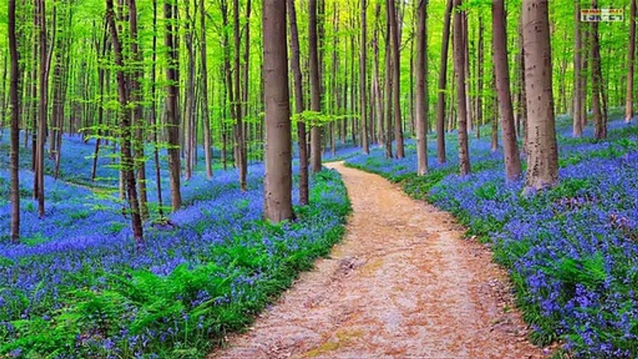 The Most Beautiful Places in England