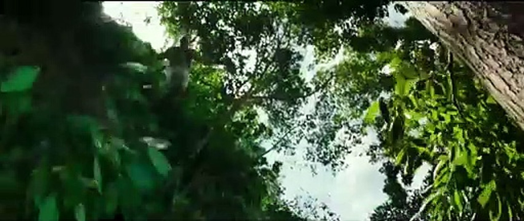 xXx 3 The Return of Xander Cage (2017) Official FULL Trailer #1 (VIN DIESEL Movie) HD