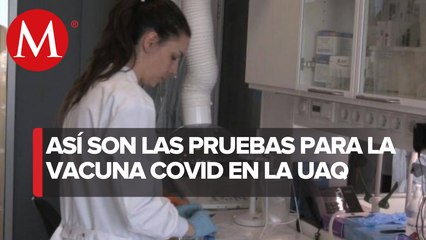 Entrevista, Teresa García Gasca. Rectora de La UAQ. Pruebas preclínicas de vacuna covid-19