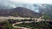 Yangında zarar gören ormanlık alan böyle görüntülendi