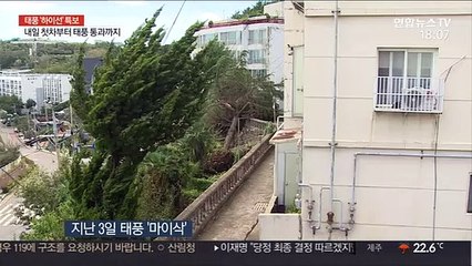 "차 뒤집힐 정도"…40㎧ 강풍 몰아치는 '하이선'