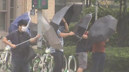 태풍 '하이선' 바람세기는 '풍력 등급'을 넘는 수준 / YTN