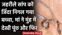 Bareilly: खेल-खेल में बच्चा सांप को जिंदा निगल गया, मां ने पूंछ पकड़ कर निकाला बाहर | वनइंडिया हिंदी