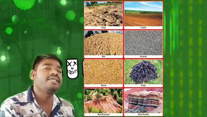 Soil Profile & Types 🌱