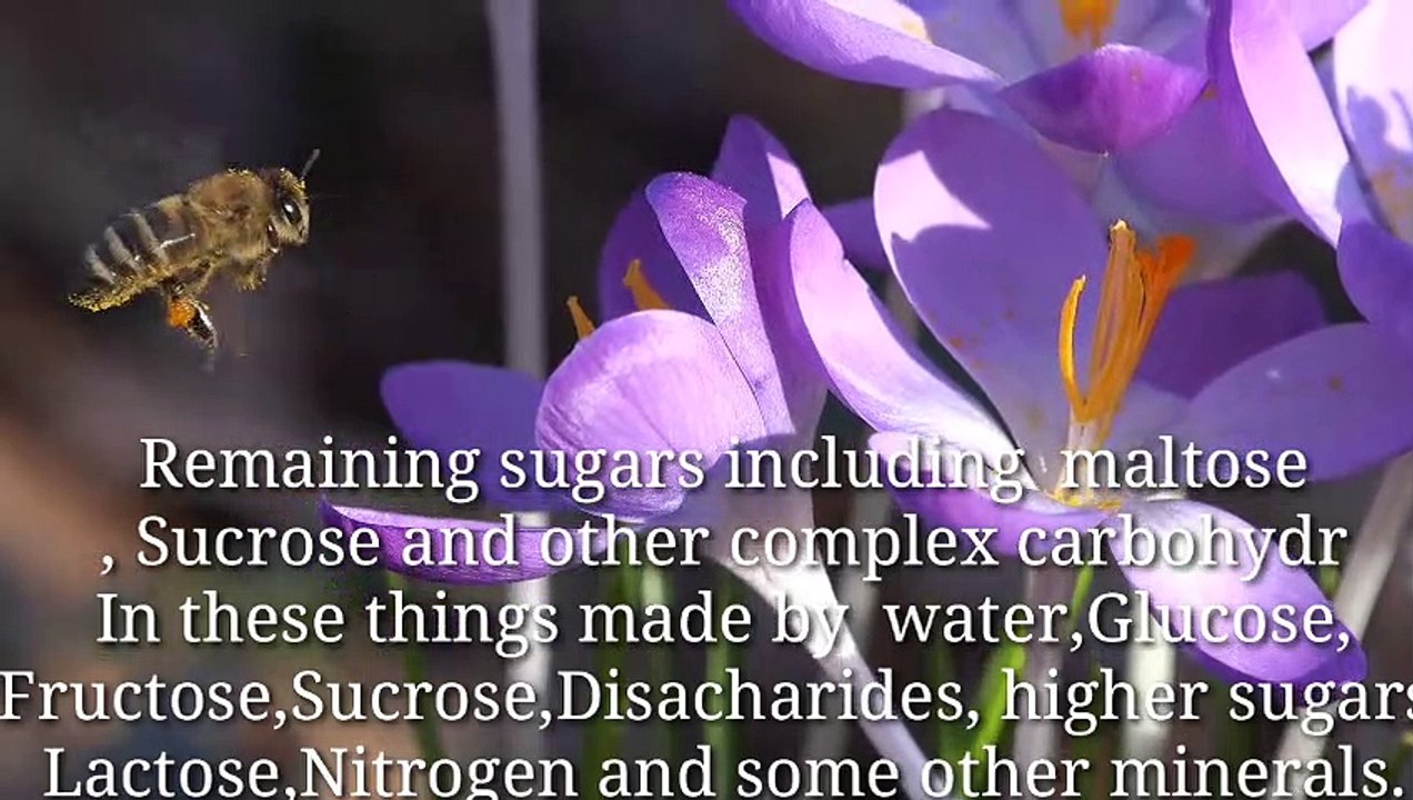 7 best Advantages of honey in human body-480p