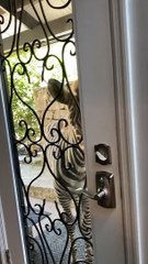 Zoey the Zebra Learns to Open the Door
