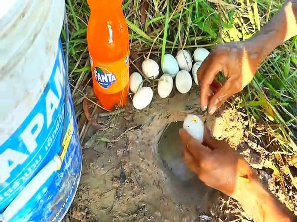 Unbelievable Fishing With Fanta  - Eggs Catch Fish From Hole - Catching Fishes In Hole | Animal Trap