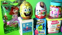 Disney Toys Surprise Eggs Boxes Peppa Pig NUM NOMS Shopkins Kinder Frozen Minnie Funtoyscollector