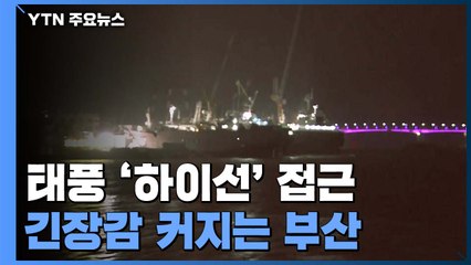 태풍 다가오는 부산...부산항 운영 중단·선박 600여 척 피항 / YTN