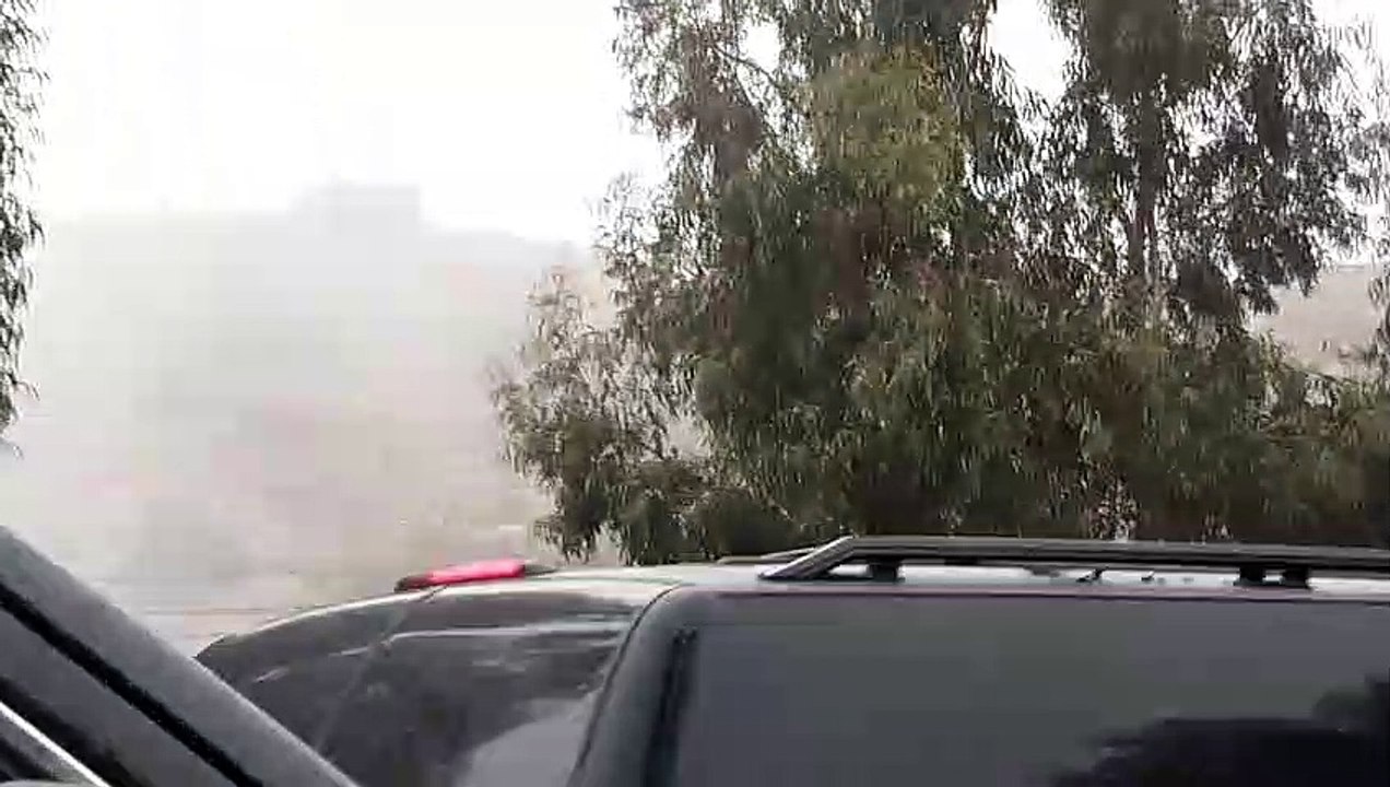 wadi al taif saudi rabia