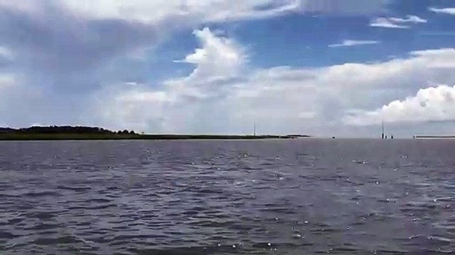 Ce dauphin fait le show face à des touristes... sauts impressionnants