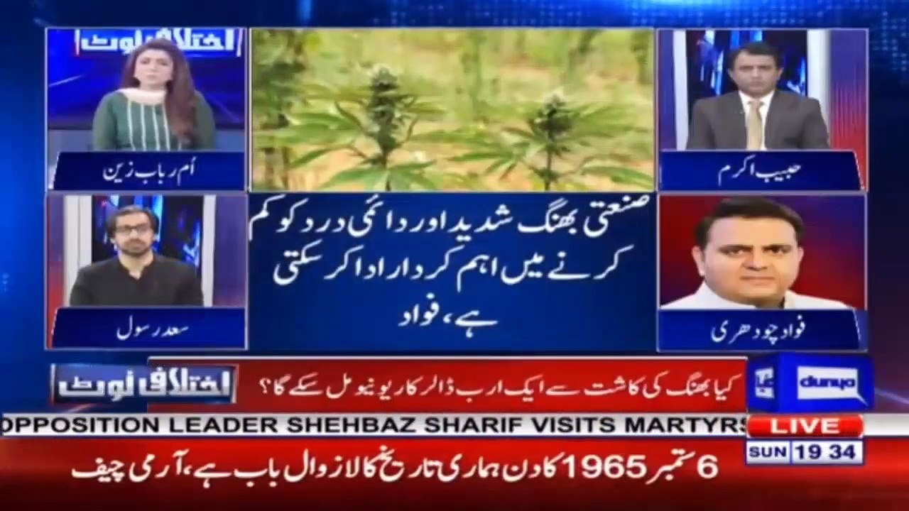 وفاقی حکومت کی بھنگ کی کاشت کی اجازت، کیا معاشی فوائد حاصل ہو سکتے ہیں؟ جانیے فواد چوہدری سے