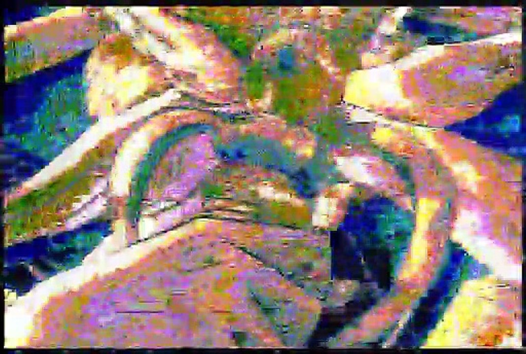 MVGEN: Idles  : Benzocaine