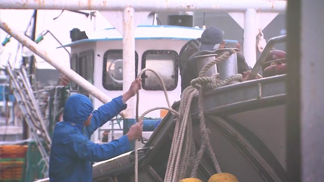 경북 동해안 태풍 북상에 '긴장'...어선 3천여 척 피항 / YTN