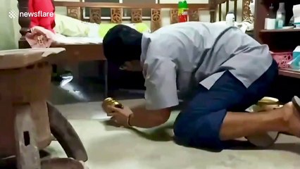 Rescuers catch snake under pensioner's bed in Thailand