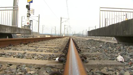 하이선 접근에 열차·항공 운행 차질...시설물 훼손 잇따라 / YTN