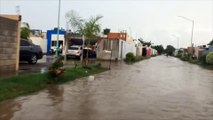 ¡Se cae el cielo! 'Llovidón' inunda calles de Guasave