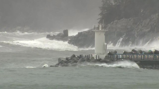 간판 떨어지고 가로수 쓰러져...이 시각 거제 상황 / YTN