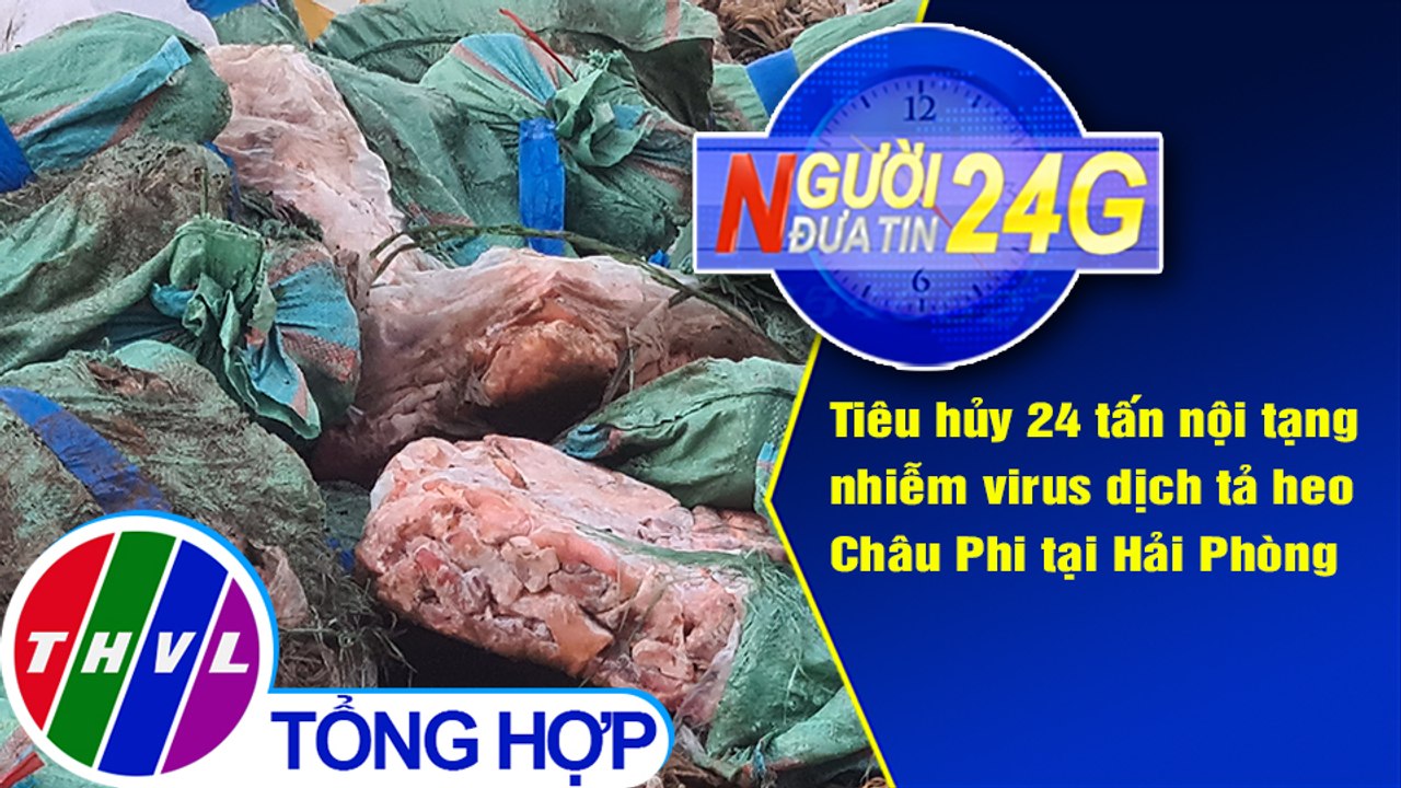 Người đưa tin 24G (18g30 ngày 6/9/2020) - Tiêu hủy 24 tấn nội tạng nhiễm virus dịch tả heo Châu Phi