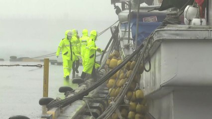 태풍 '하이선' 울산 부근에 상륙...내륙 북진 중 / YTN