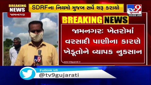 Jamanagar- Authority conducts survey of crops damaged due to rain in Jivapar village