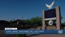 Cactus Shadows High School teachers call out sick