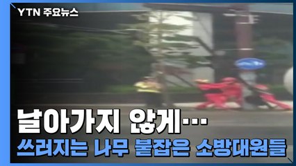 [제보영상] 날아가지 않게...쓰러지는 나무 붙잡은 소방대원들 / YTN
