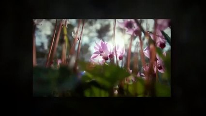 15-Minute Meditation _ Minute Meditations_