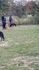 Rain école septembre