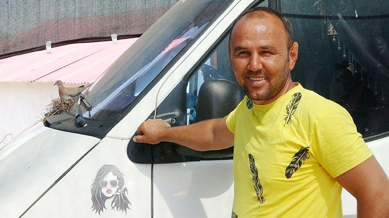 Uğruna kontak kapatılan kumru yuvasındaki yavrular yumurtadan çıktı