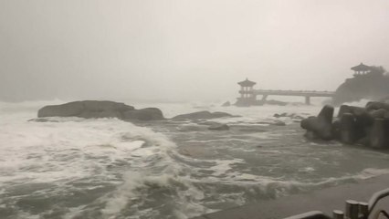 동쪽 할퀴고 지나간 태풍...11호 태풍도 오나? / YTN