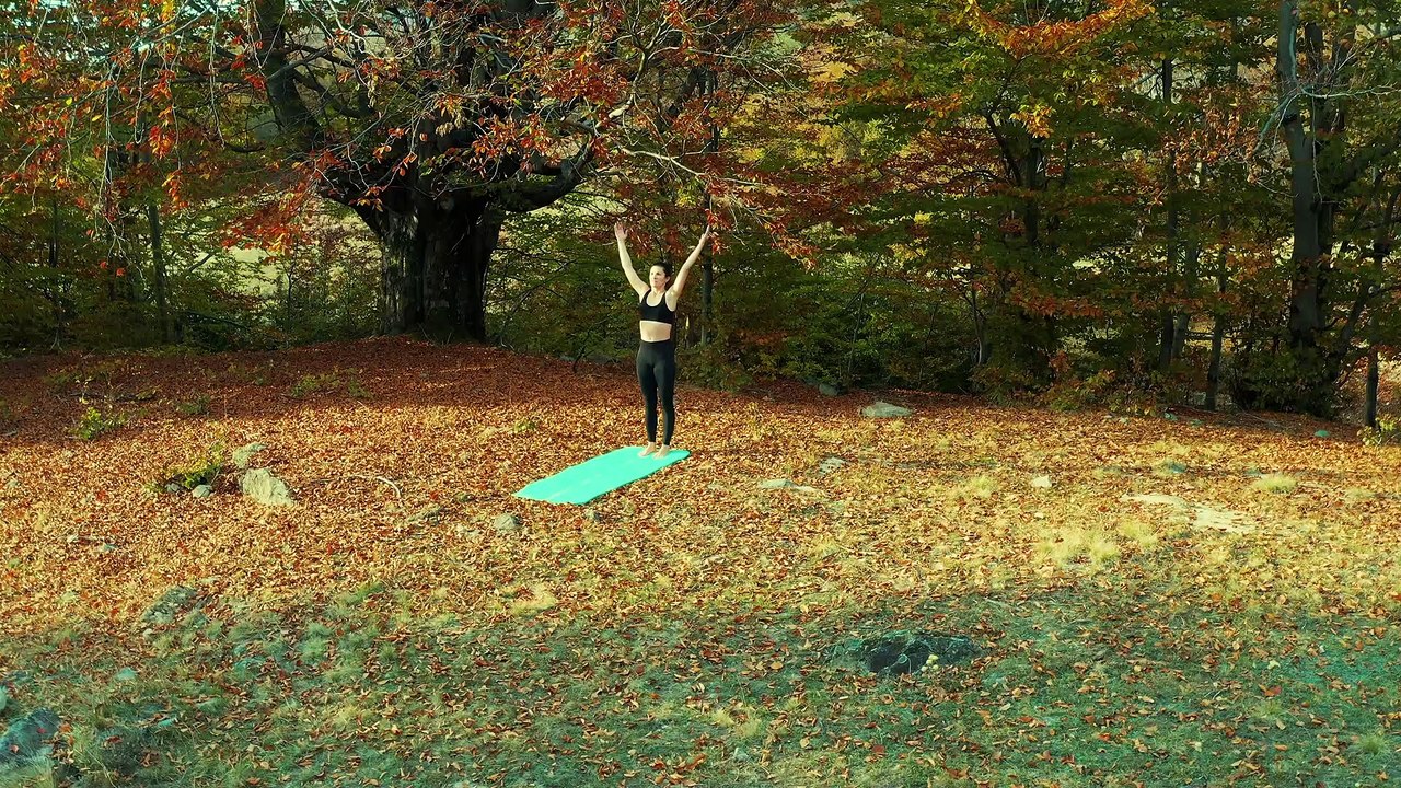 Nature - yoga - aerobic
