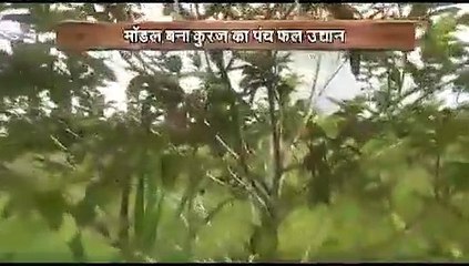 Video : मेहनत की तो खिल उठा बंजर भूमि में उद्यान