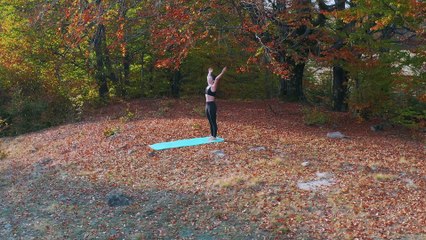 Pilates - Nature - yoga - aerobic