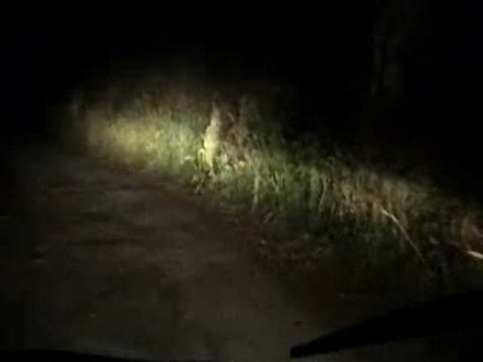 The Road To (Success Is A Mindset)