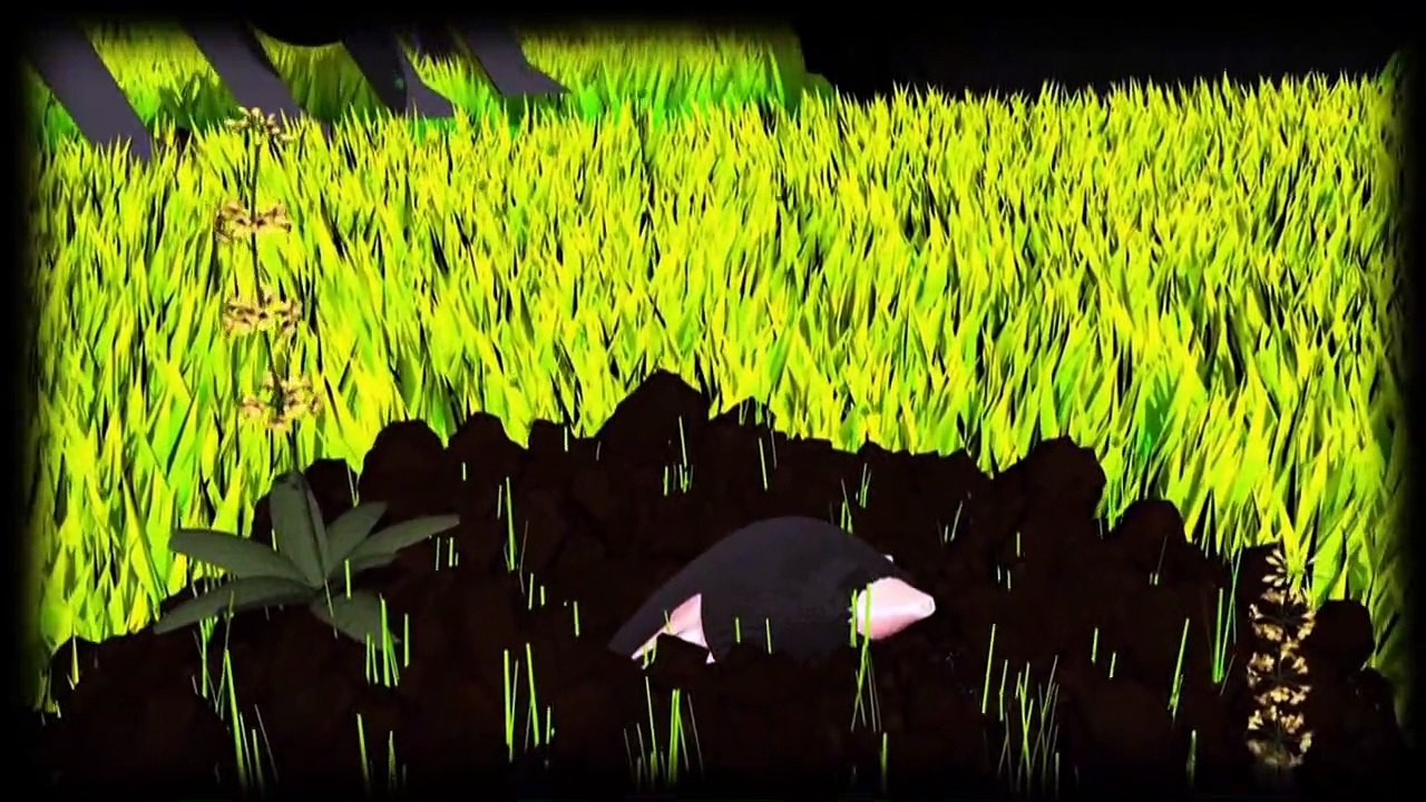 Videografik: Pestizide