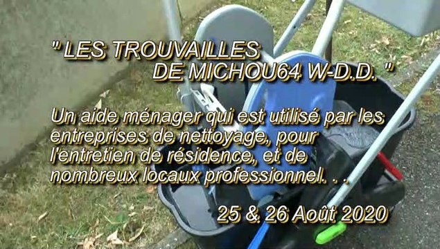 LES TROUVAILLES DE MICHOU64 W-D.D. - 25 et 26 Août 2020 - PAU - UN CHARIOT QUI VA FAIRE DES ENVIEUX